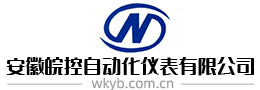 安徽皖控自動(dòng)化儀表有限公司